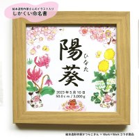 【絵本造形作家さんとコラボ】しかくい命名書 ピンク スクエア 桜 