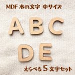 画像1: MDF 中くらいアルファベット文字 えらべる５文字セット (1)