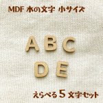 画像1: MDF ちいさめアルファベット文字 えらべる５文字セット (1)