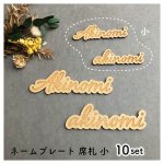 画像1: 席札 ネームプレート小 筆記体文字 10set MDF(木)  (1)