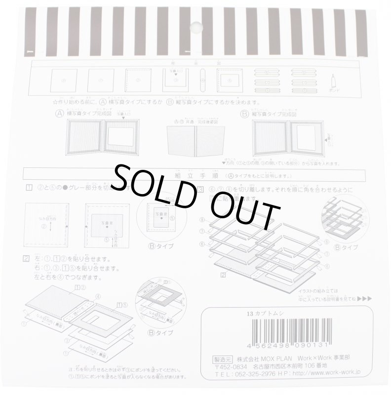 画像5: カブトムシ (5)