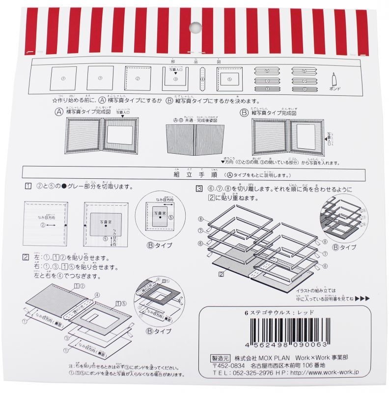 画像5: ステゴサウルス レッド (5)