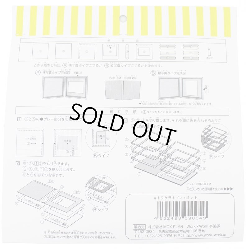 画像5: トリケラトプス ミント (5)