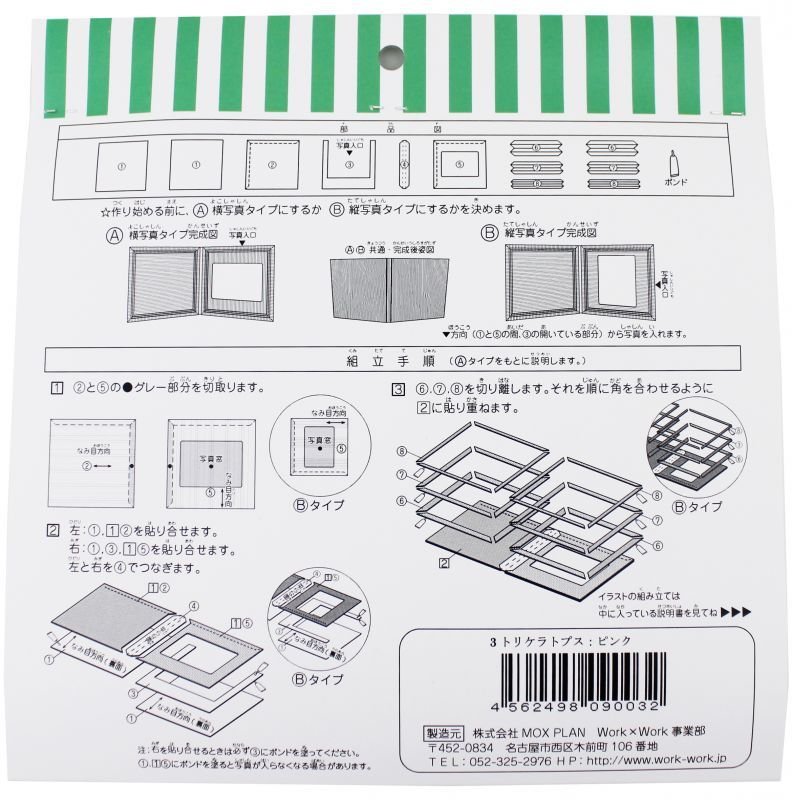 画像5: トリケラトプス ピンク (5)