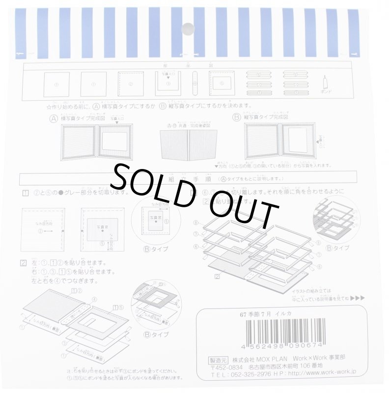 画像5: 7月　イルカ (5)
