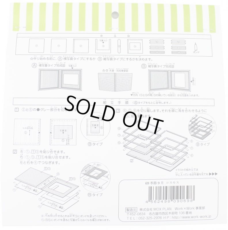 画像5: 9月　コスモス (5)