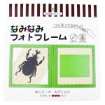 画像1: カブトムシ (1)
