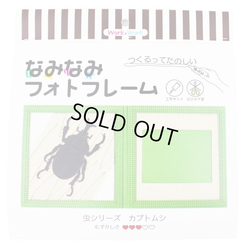 画像1: カブトムシ (1)