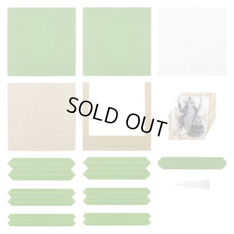 画像4: カブトムシ (4)