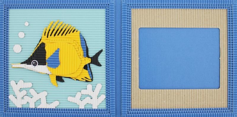 画像3: フエヤッコダイ (3)