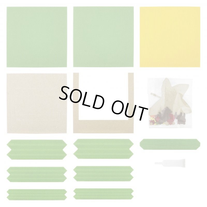 画像4: 11月 落ち葉 (4)