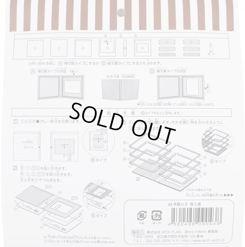 画像5: 11月 落ち葉 (5)